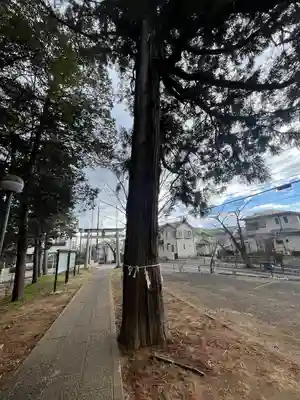 白鳥神社(神奈川県)