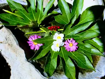 玉泉寺(群馬県)