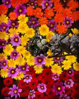 札幌諏訪神社の手水舎