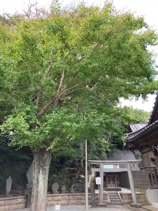 小動神社の自然