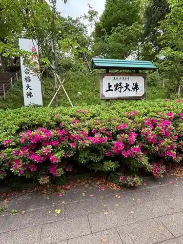 上野大佛(東京都)