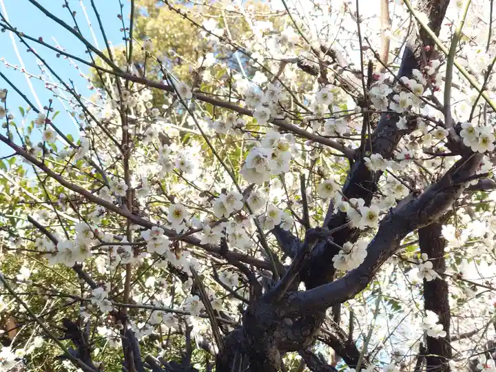 下溝八幡宮(神奈川県)