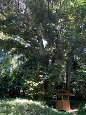 権現神社(千葉県)