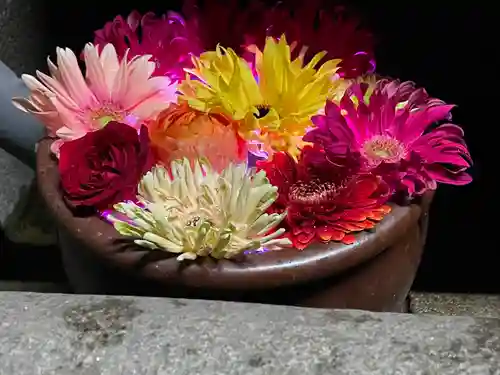 菅生神社の自然