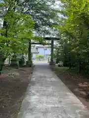 塩竈神社(栃木県)