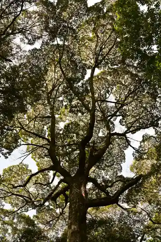 神明神社(徳島県)