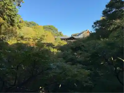 東福禅寺(東福寺)(京都府)