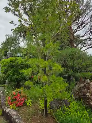 来迎寺(福島県)