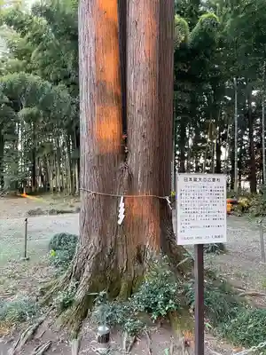 大神神社(栃木県)