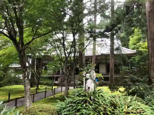 三千院門跡の自然