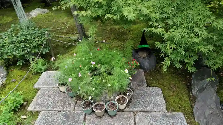 勝林寺(京都府)