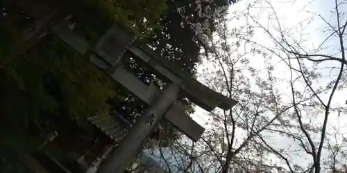 稗田野神社(薭田野神社)(京都府)