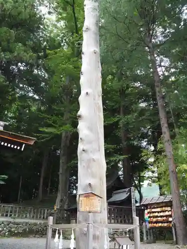 諏訪大社下社秋宮の自然