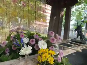 彌彦神社 (伊夜日子神社)の手水舎(2023年08月27日(日) 09時21分59秒投稿)