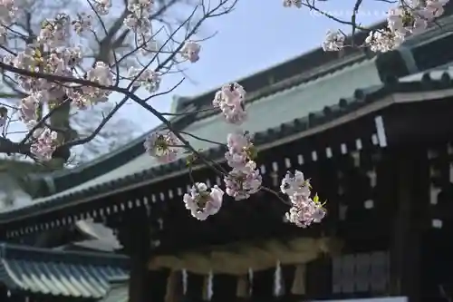 三嶋大社(静岡県)