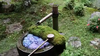 柳谷観音　楊谷寺(京都府)