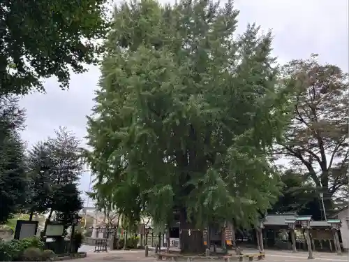 今宮神社(栃木県)