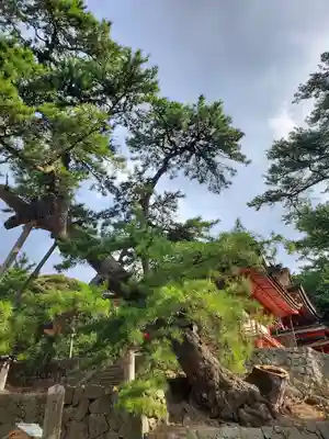 日御碕神社(島根県)