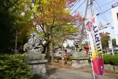 神炊館神社 ⁂奥州須賀川総鎮守⁂の七五三参