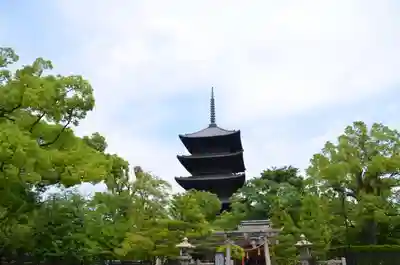 東寺（教王護国寺）(京都府)