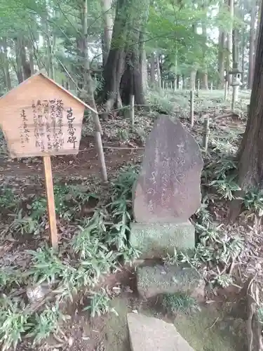 間々田八幡宮(栃木県)