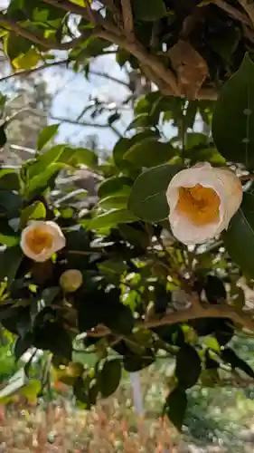 惠心院（恵心院）(京都府)