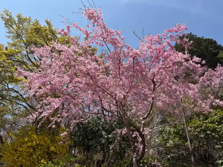 勝尾寺(大阪府)