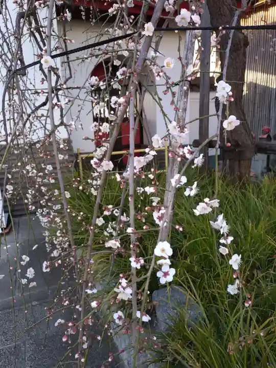 成願寺(東京都)