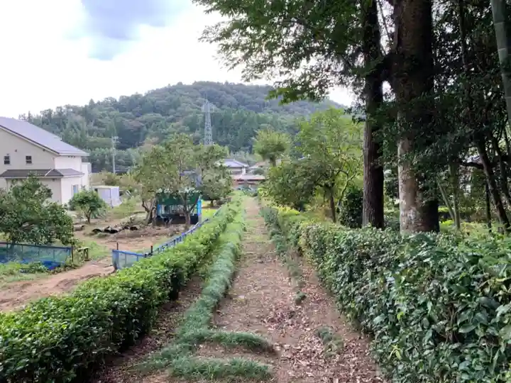 八幡神社の周辺