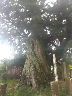 城願寺(神奈川県)