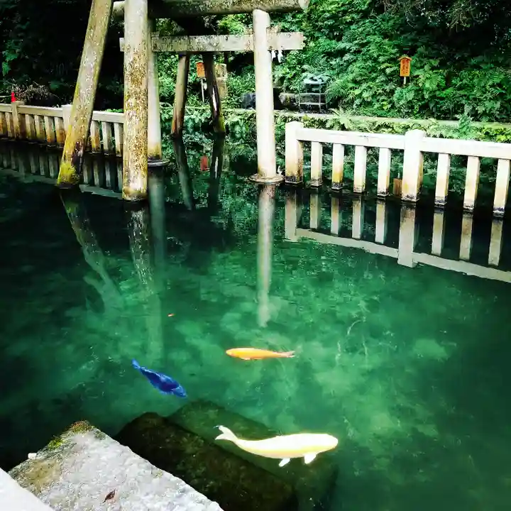 鹿島神宮の動物