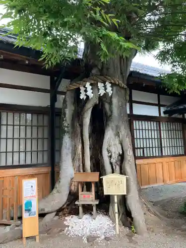 三輪坐恵比須神社(奈良県)