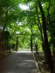 大原野神社の建物その他