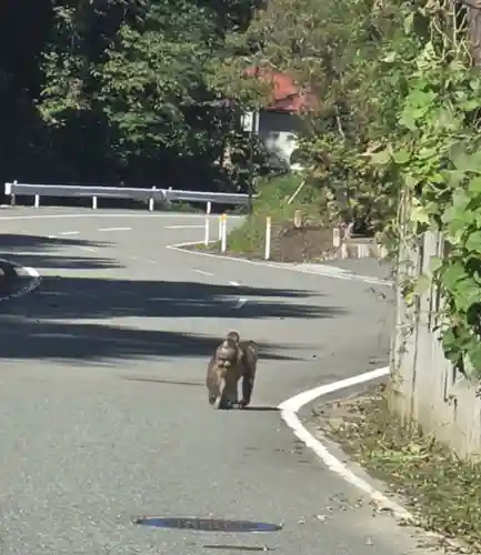 若松寺(山形県)