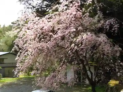 八幡宮來宮神社のその他建物