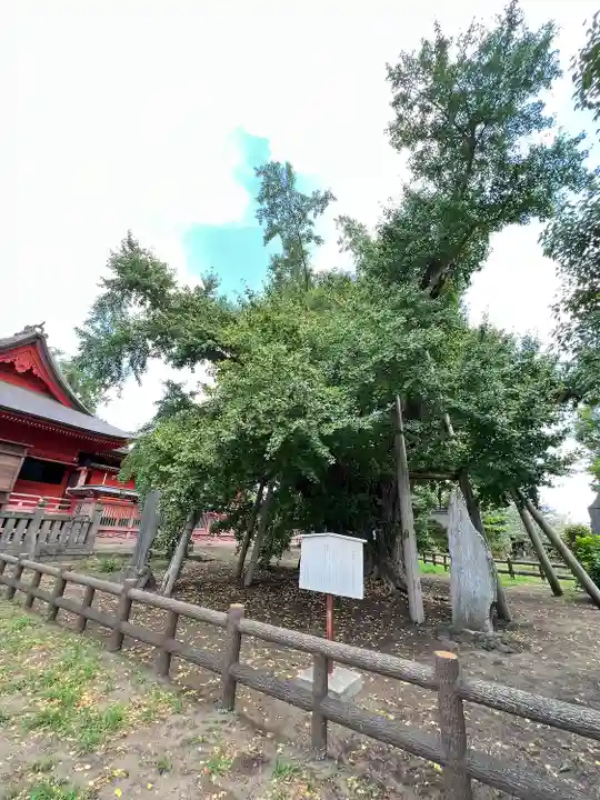 飯香岡八幡宮(千葉県)
