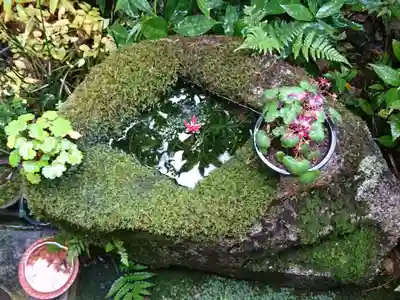 源光庵のその他建物