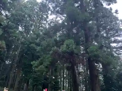 大宮温泉神社(栃木県)