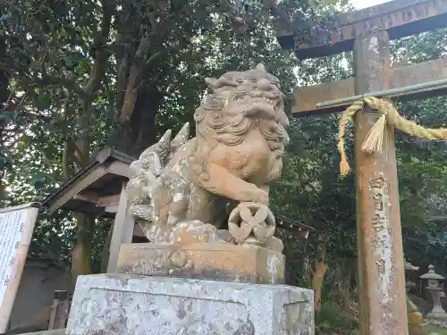 走田神社(京都府)