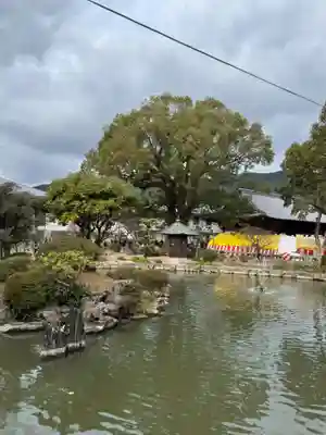 太宰府天満宮(福岡県)