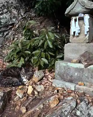 唐澤山神社(栃木県)