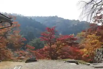 正暦寺(奈良県)