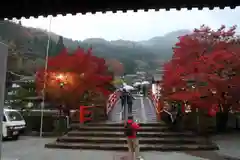 室生寺の建物その他