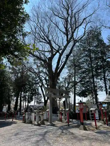 薬師寺八幡宮(栃木県)
