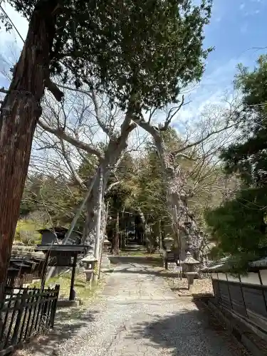 新海三社神社の{uncategorized: "未分類", other: "その他", undefined: "問題あり", building: "その他建物", grave: "お墓", sacred_gate: "鳥居", guardian: "狛犬", statue: "像", buddha: "仏像", history: "歴史", nature: "自然", garden: "庭園", animal: "動物", pagoda: "塔", temizu: "手水舎", mountain_gate: "山門・神門", sanctuary: "本殿・本堂", subordinate: "末社・摂社", art: "芸術", scenery: "景色", jizo: "地蔵", ema: "絵馬", goshuin: "御朱印", omikuji: "おみくじ", items: "授与品その他", amulet: "お守り", goshuincho: "御朱印帳", eats: "食事", festival: "お祭り", votive_dance: "神楽", shichigosan: "七五三参", wedding: "結婚式", experience: "体験その他", initially: "初詣", around: "周辺", anti_infection: "感染症対策"}