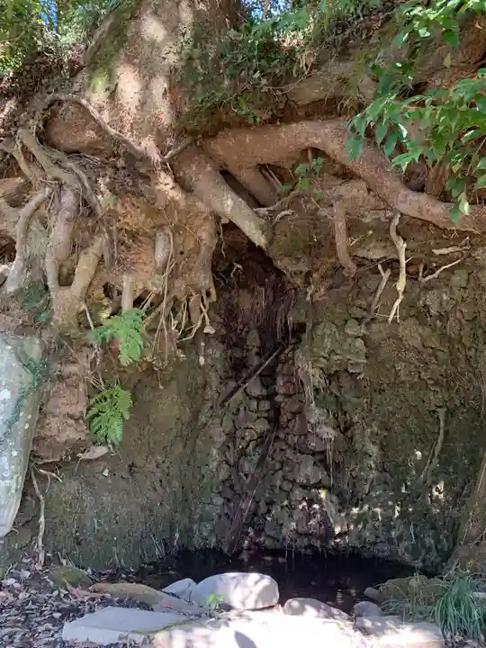 大仏頂寺(千葉県)