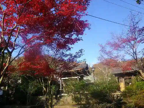 海蔵寺の庭園