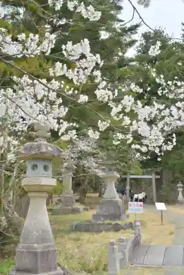 蒼柴神社(新潟県)