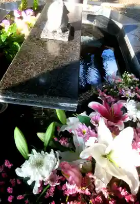 新琴似神社の手水舎