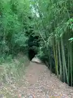 駒形神社の周辺